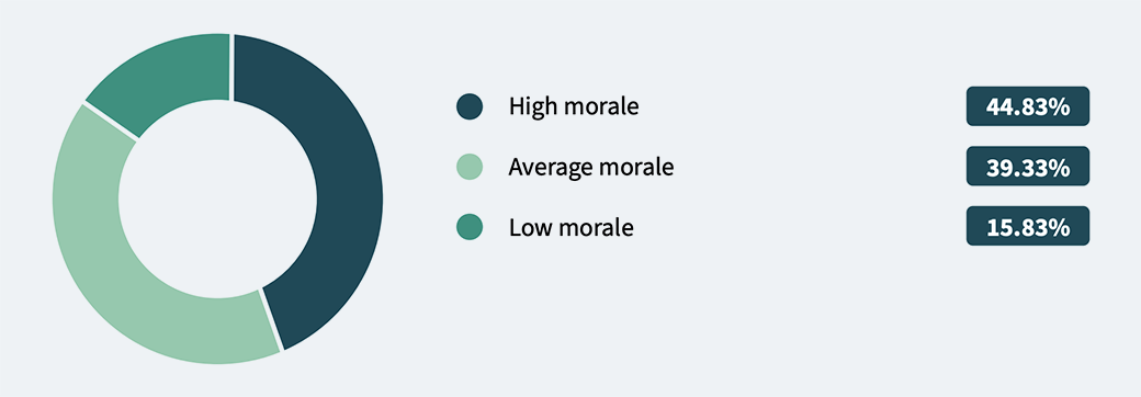 How would you rate morale at your current company graphic.